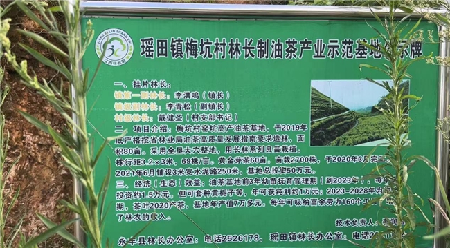 “红色征途，薪火传承”社会实践队永丰瑶田行：青春耕耘希望田野，助力乡村振兴发展