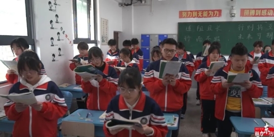 读书“神器”-“两高学习法”操作指南